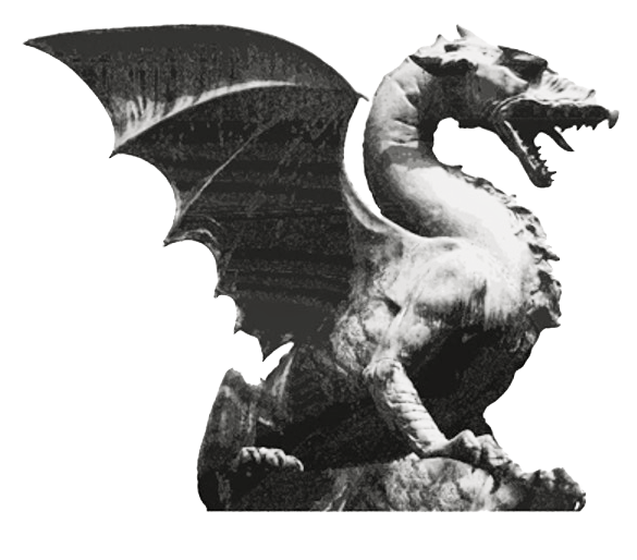 P.E. Partners Dragon Logo